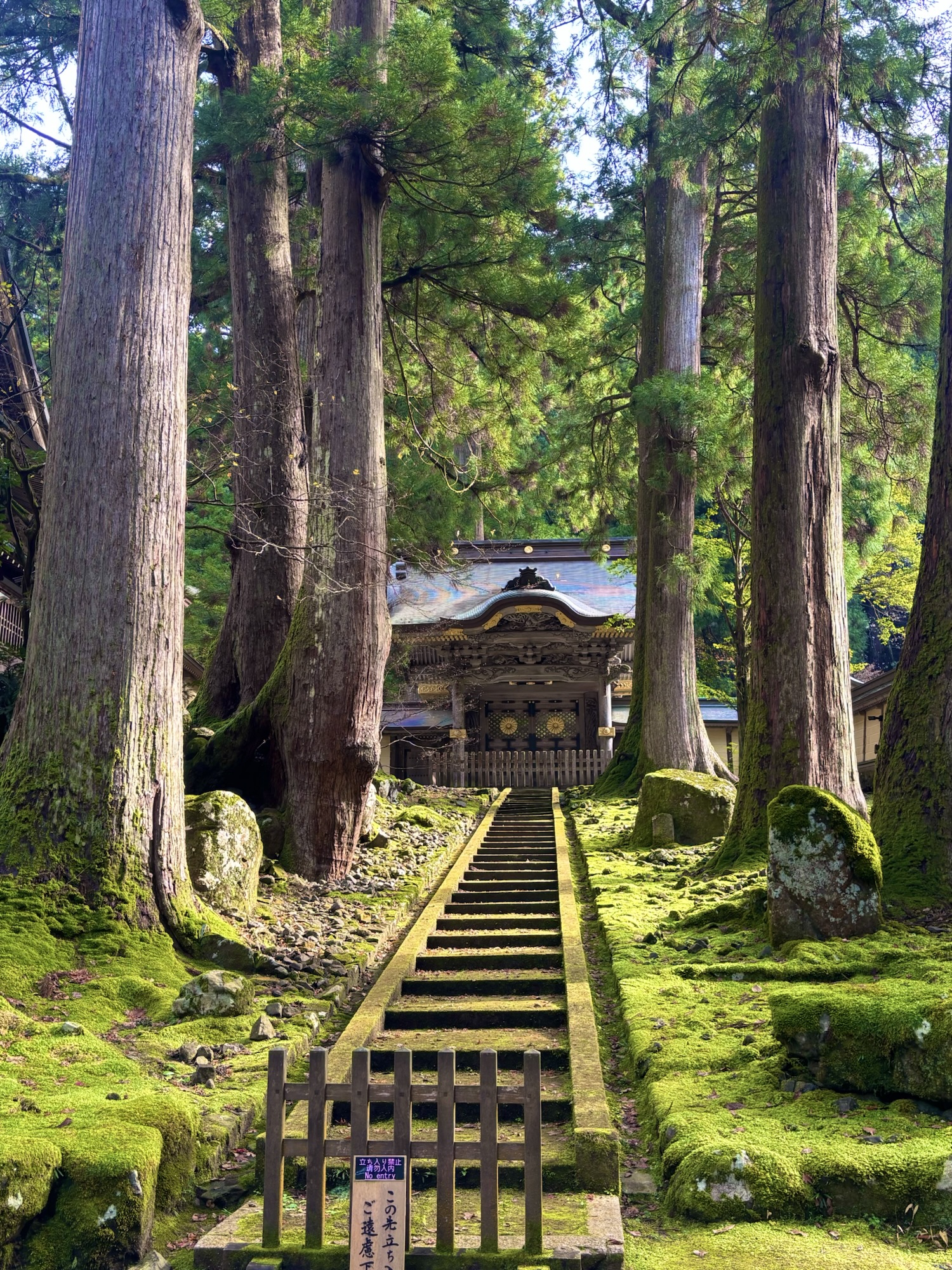 永平寺の苔むした石段と杉並木