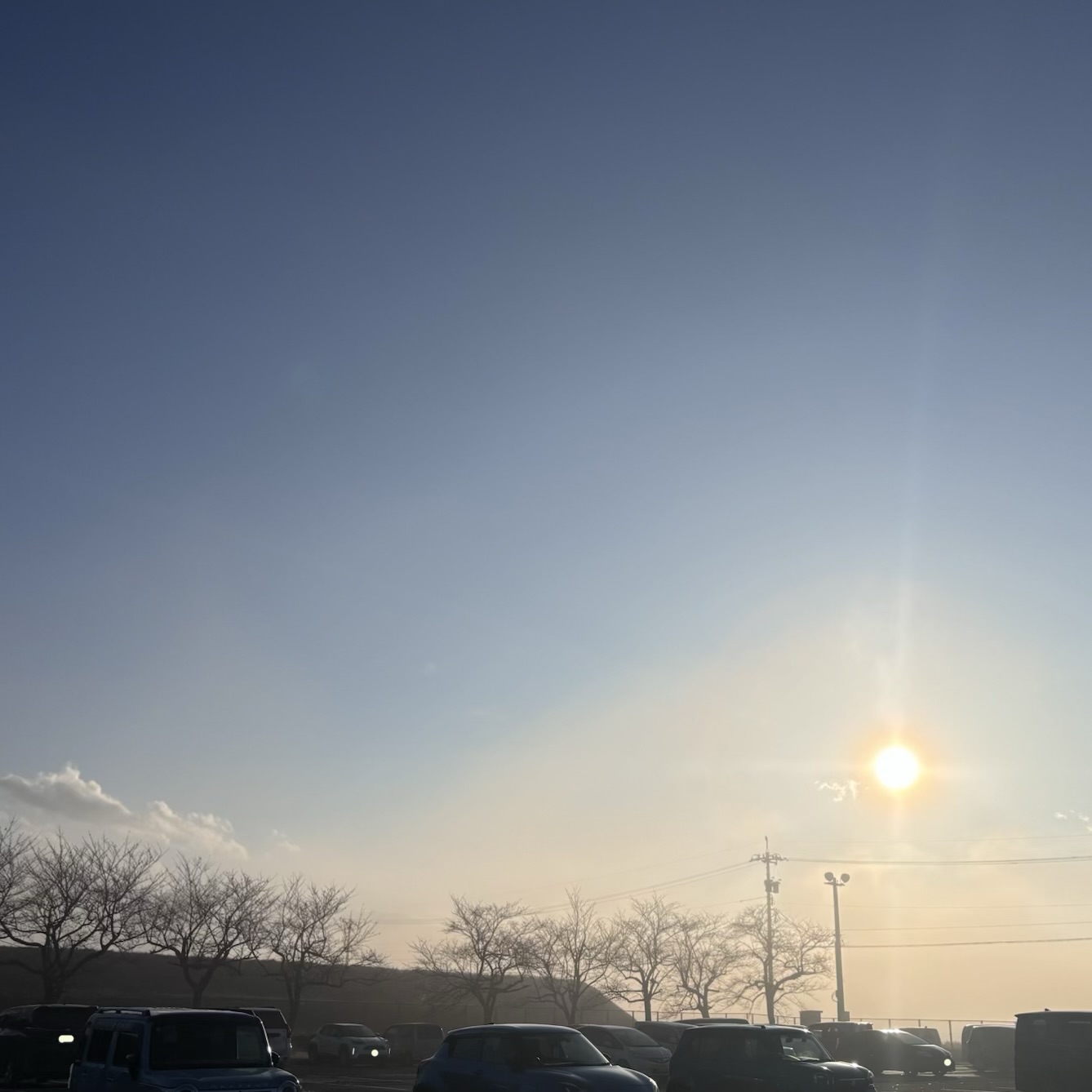 「冬の朝、薄い霧の中に柔らかく広がる朝日。木々のシルエットと静かな駐車場が映る景色」